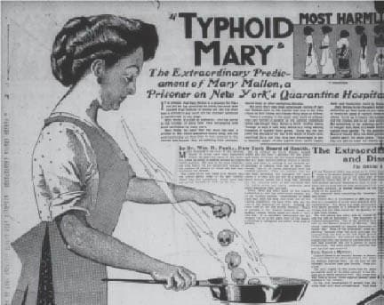 Newspaper clipping about Typhoid Mary