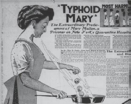 museum-collection-typhoid-mary Newspaper clipping about Typhoid Mary