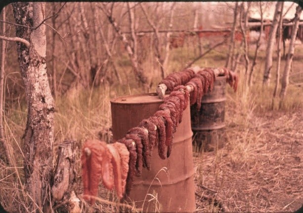 outofcollection04 Fish drying in Kwethluk, Alaska. The population of Kwethluck in 2019 was 769.