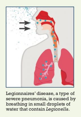 intro01 Lung diagram