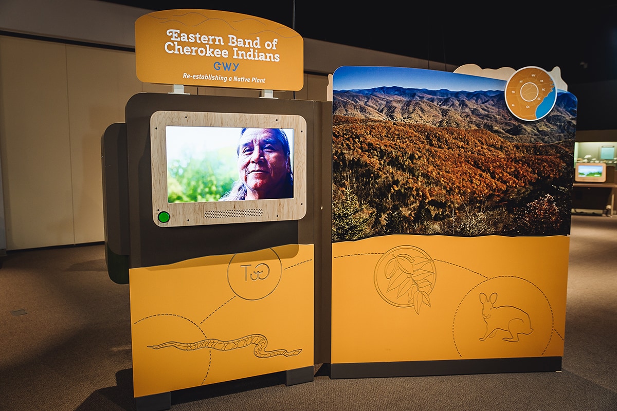 Orange exhibit panel wall reading 'Eastern Band of Cherokee Indians, Re-establishing a Native Plant'. There is a digital screen of a native male and a large image of mountains and grains.