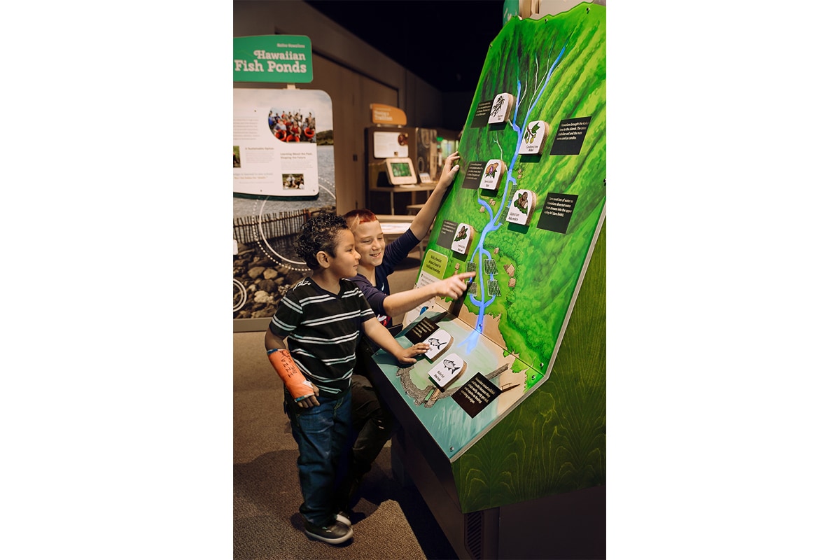 Two male children interacting with the hands-on exhibit about water.