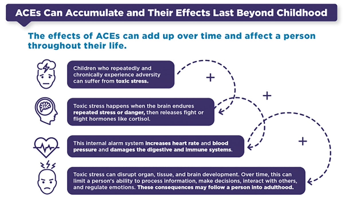 ACEs can accumulate and last beyond childhood. Children who repeatedly experience adversity can suffer from toxic stress. When toxic stress occurs, the brain releases fight or flight hormones like cortisol. This increases heart rate and blood pressure and damages the digestive and immune systems. Toxic stress can disrupt organ, tissue, and brain development. This can limit a person’s ability to process information, make decisions, interact with others, and regulate emotion. These consequences may follow a person into adulthood.