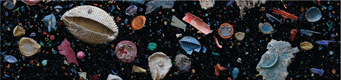 GYRE: The Plastic Ocean