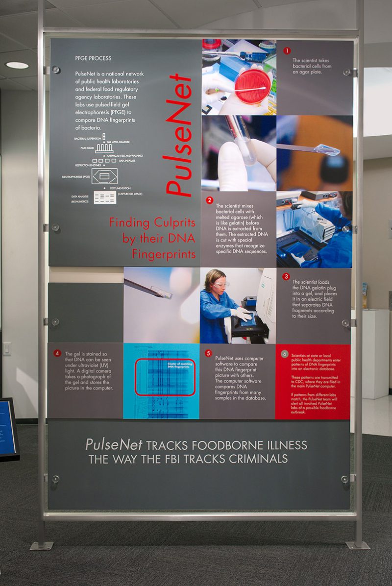 Making Food Safer to Eat | David J. Sencer CDC Museum | CDC