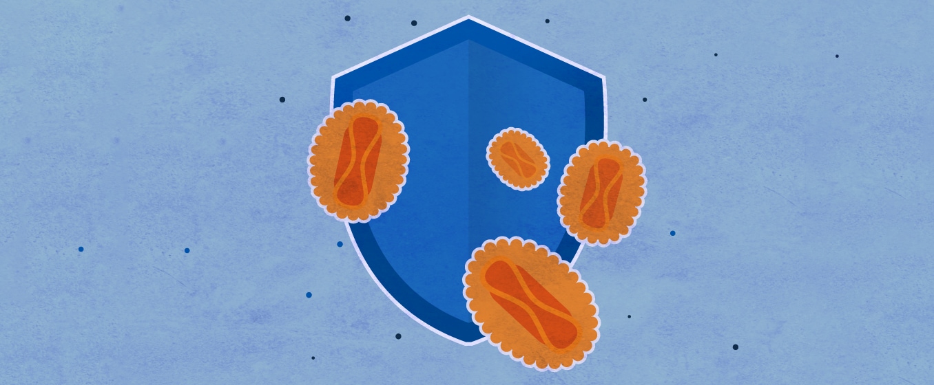 Graphic of a shield blocking germs