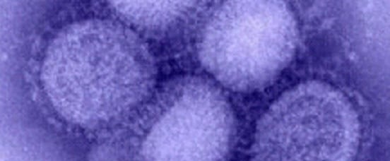 CDC identifies the novel H1N1 influenza virus