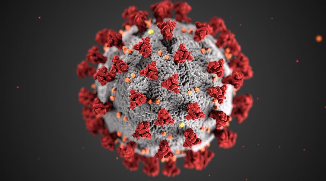 illustration of a coronavirus