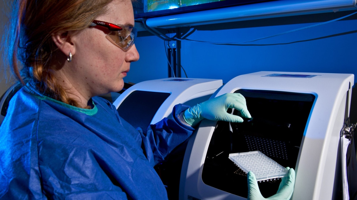 A laboratorian prepares to conduct real-time polymerase chain reaction (PCR) testing.