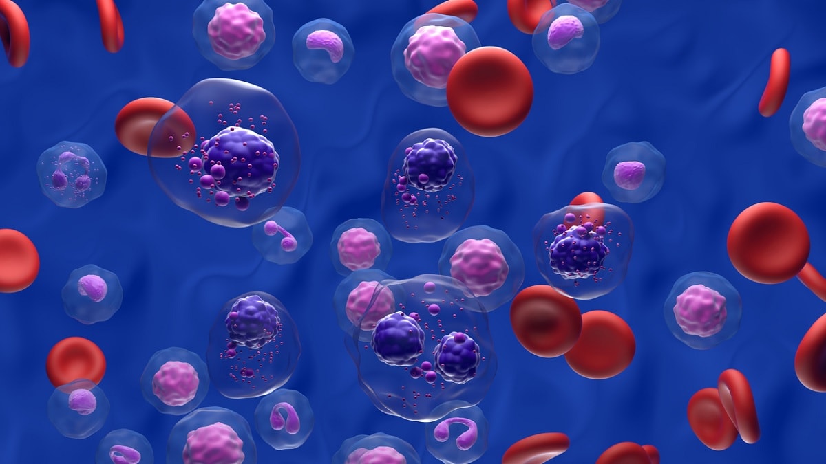 Ilustración de células de mieloma en la sangre