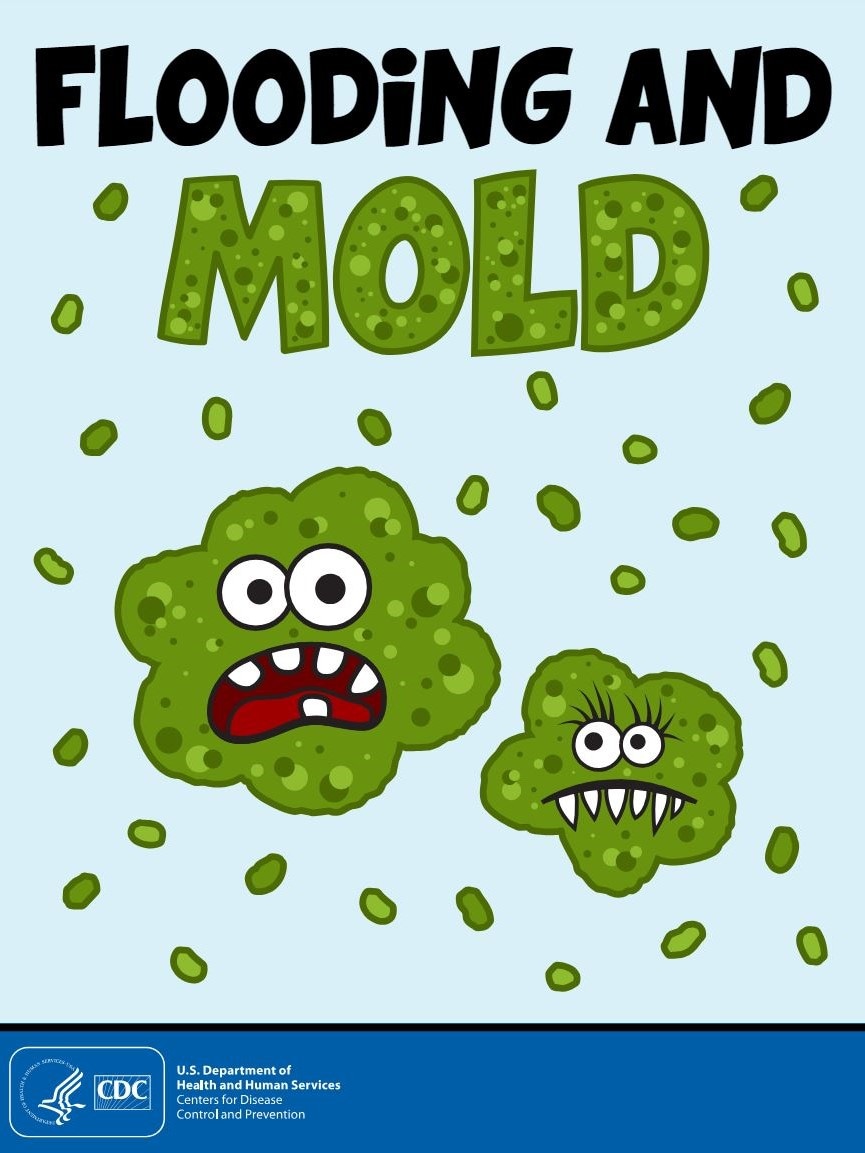Flooding and Mold (Activity Book)