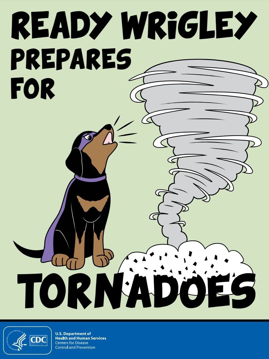 Ready Wrigley Prepares for Tornadoes (Activity Book)