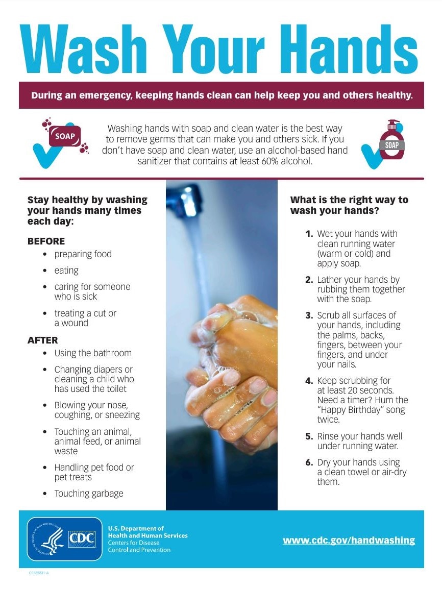 Wash Your Hands (Factsheet)