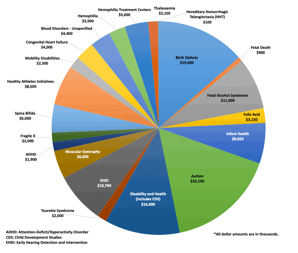 2018 National Budget Pie Chart