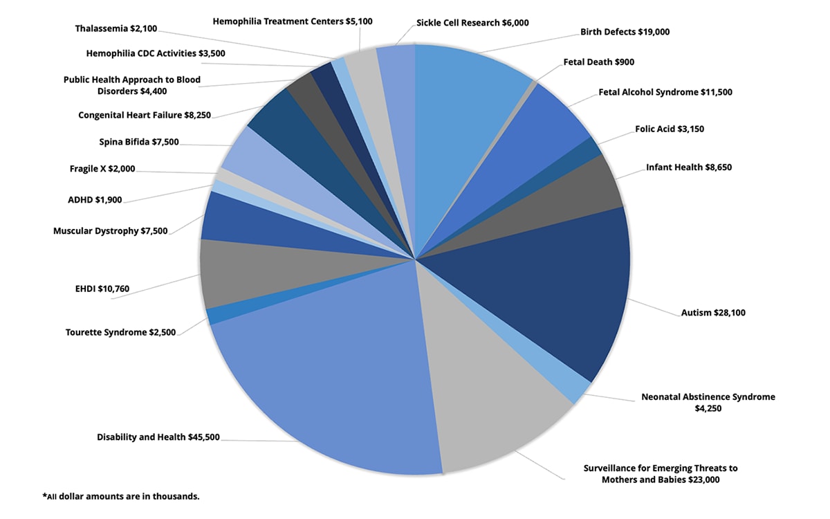 Pie chart showing NCBDDD fiscal year 2023 budget - details to follow.