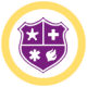 Icon: public safety shield