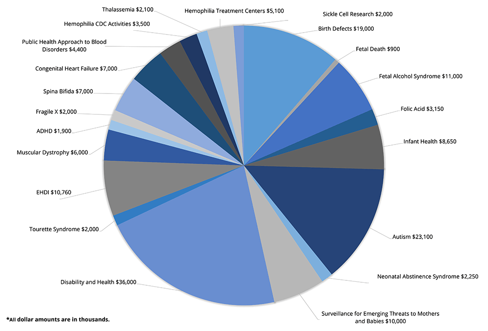 NCBDDD Fiscal Year 2021 Pie Chart, see table below