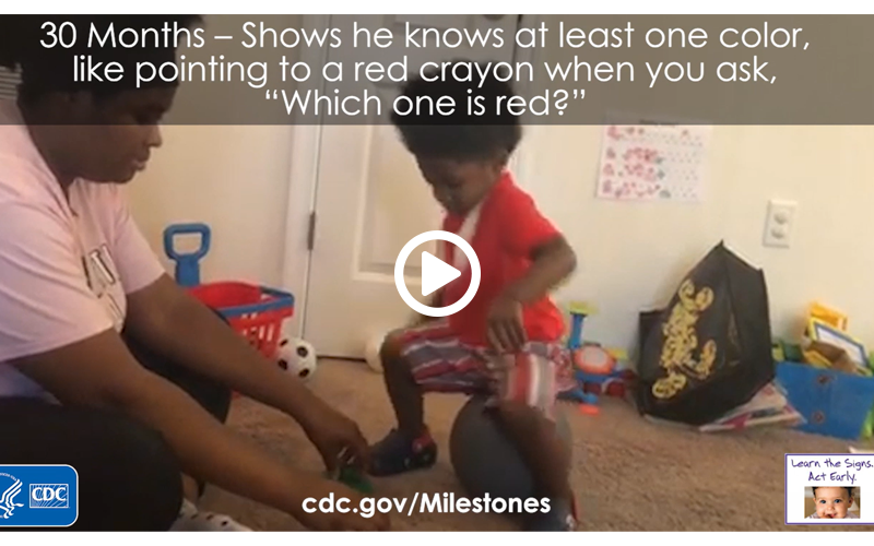 Shows he knows at least one color, like pointing to a red crayon when you ask, “Which one is red?”