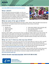ADHD Fact Sheet