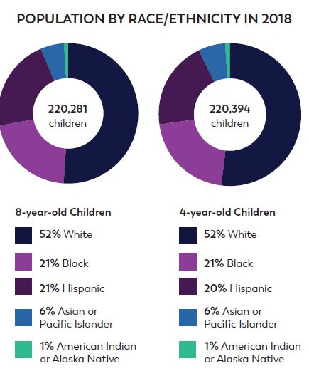POPULATION BY RACE/ETHNICITY IN 2018