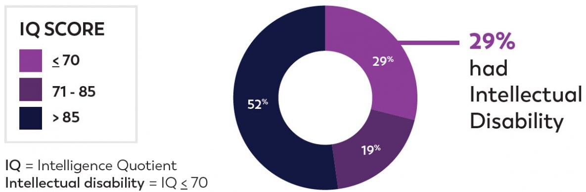 pie chart showing 29% had intellectual disability