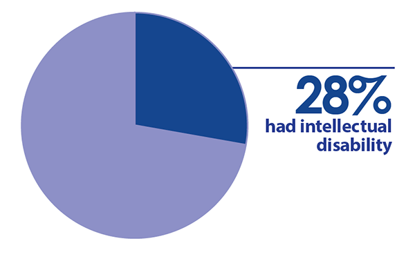 pie chart showing 28 percent had intellectual disablity