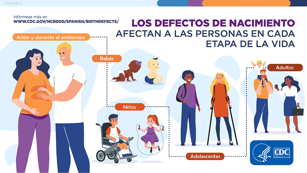Spanish language graphic: Birth Defects affect people in each phase of life. Illustrations of people living: Before and During pregnancy, Infancy, Childhood, Adolescence and Adulthood. Learn more at www.cdc.gov/birthdefects