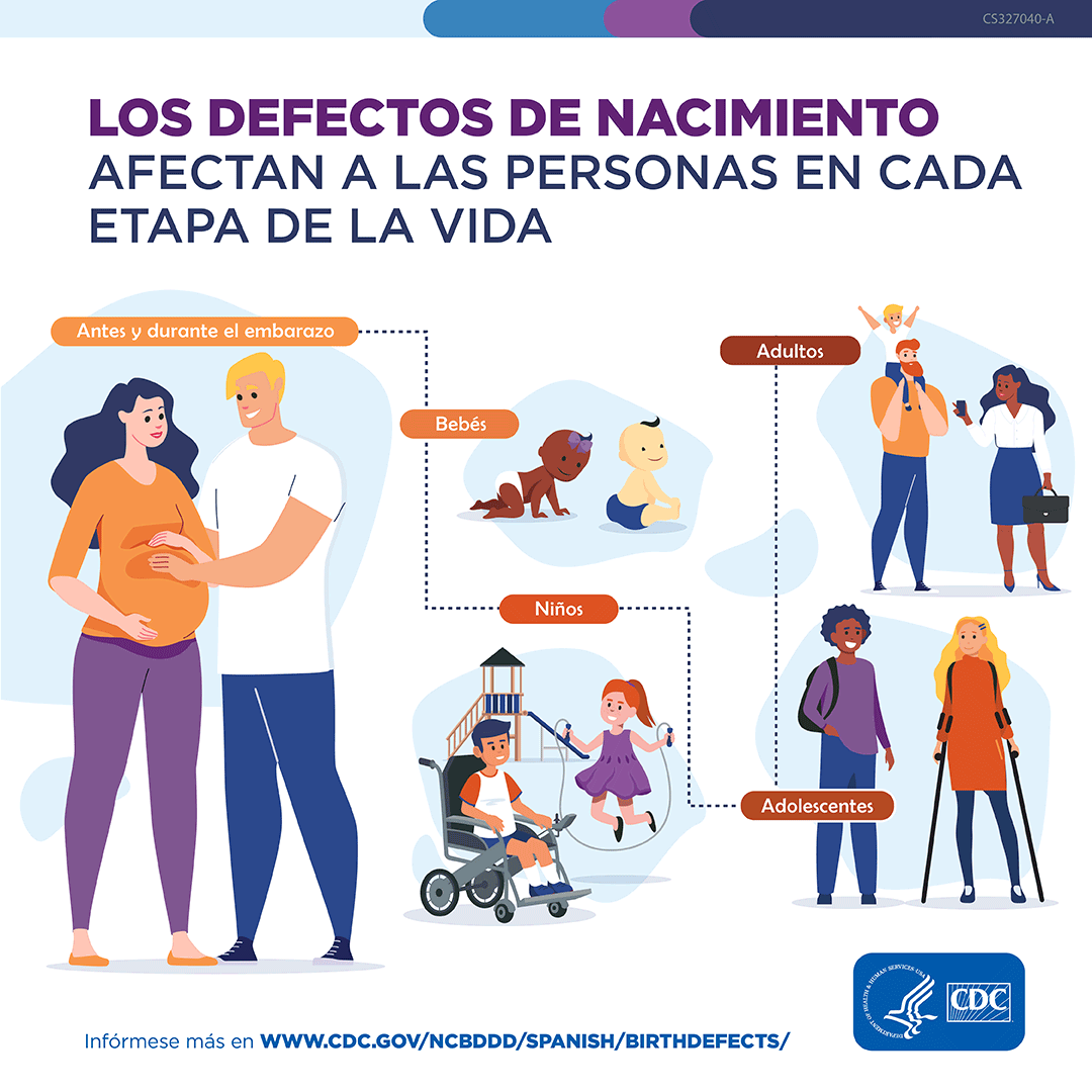 Spanish language graphic: Birth Defects affect people in each phase of life. Illustrations of people living: Before and During pregnancy, Infancy, Childhood, Adolescence and Adulthood. Learn more at www.cdc.gov/birthdefects