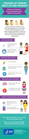 Prevent 2 Protect Infographic Thumbnail