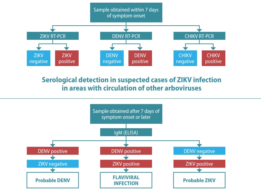 Fig. 5.6. Testing in suspected cases of ZIKV infection