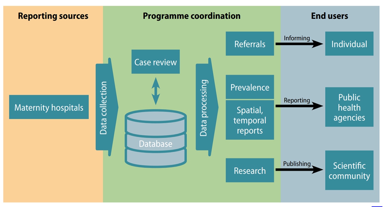 Fig. 7.6. Example of high-level mapping of a hospital-based surveillance programme