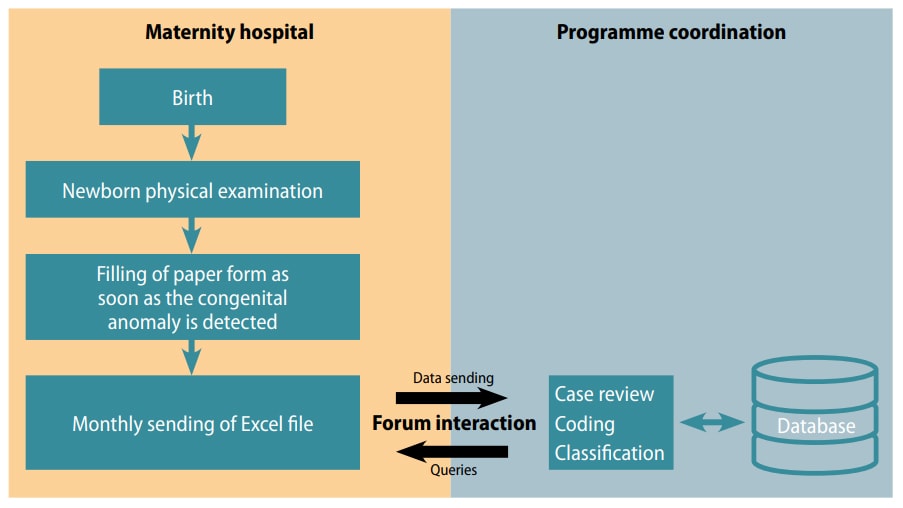 Fig. 7.7a. Example of expanded tasks in maternity hospital and interaction with programme