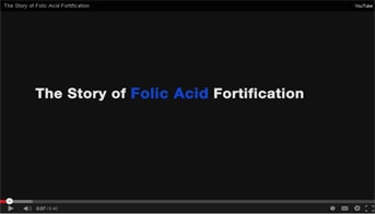 Folic Acid Fortification video thumbnail