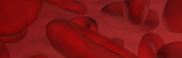 thalassemia research articles Blood cells