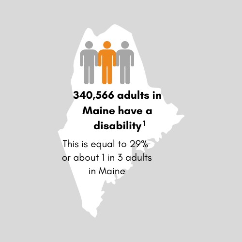 340,215 adults in Maine have a disability. This is equal to 30percent or 1 in 3 adults in Maine.