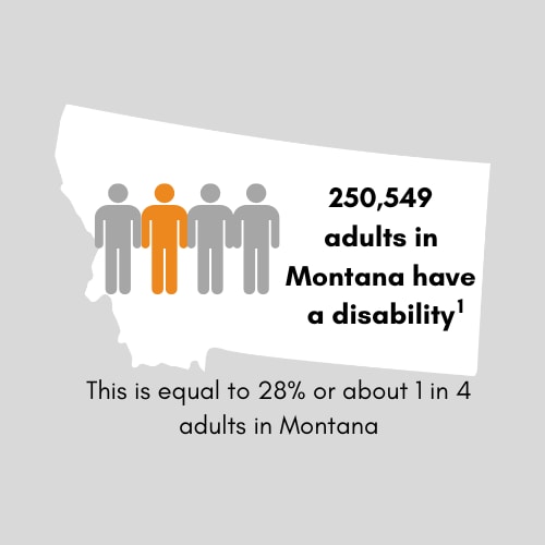 250,394 adults in Montana have a disability. This is equal to 29 percent or 1 in 3 adults in Montana.
