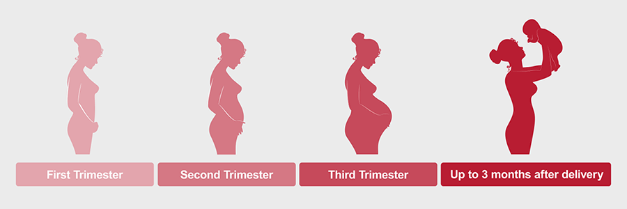 Icon showing a woman at the different stages of pregnancy 1st thru 3rd trimester and up to 3 months after delivery.