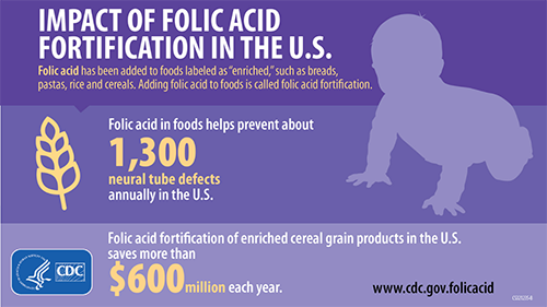 Impact of folic acid fortification in the U.S.