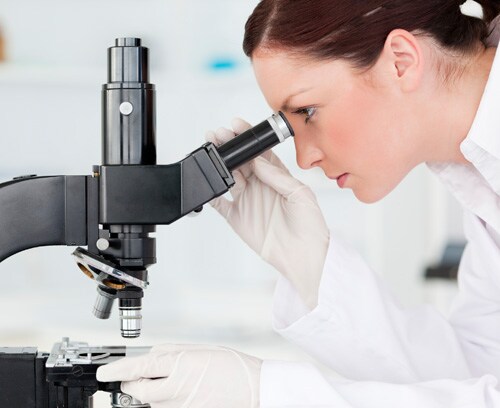 Lab worker looking through microscope