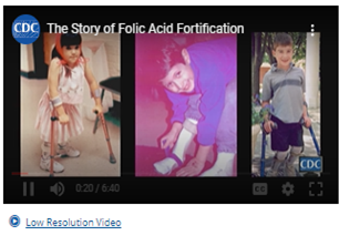 The Story of Folic Acid Fortification - video thumbnail