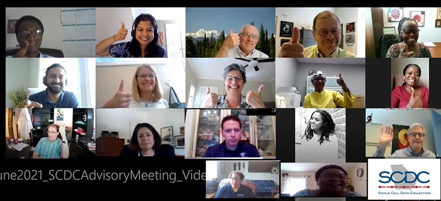 Collage of attendees to the SCDC Georgia stakeholder virtual meeting