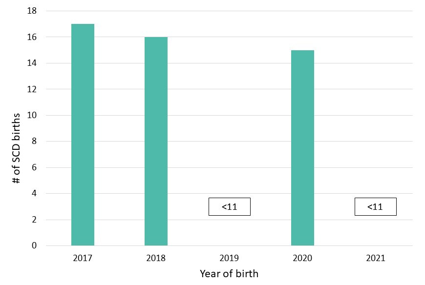 Figure 1: Annual Number of SCD Births, Colorado Newborn Screening Data, 2021