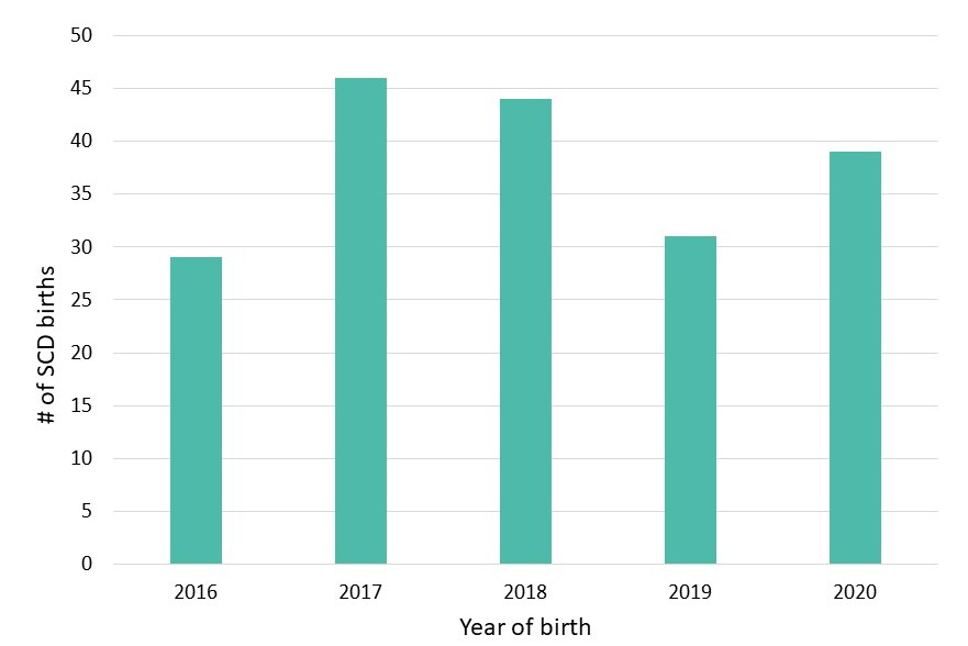 Figure 1: Annual Number of SCD Births, Indiana Newborn Screening Data, 2019
