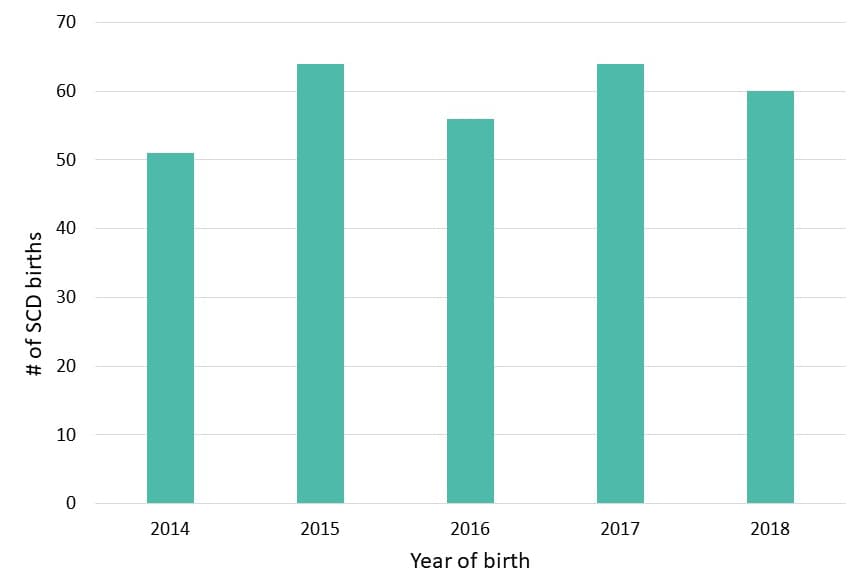 Figure 1: Annual Number of SCD Births, Michigan Newborn Screening Data, 2017