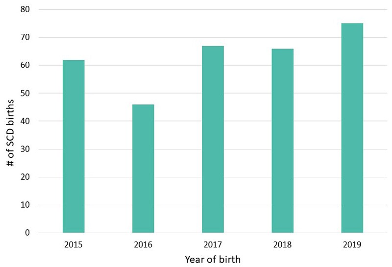 Figure 1: Annual Number of SCD Births, Virginia Newborn Screening Data, 2020