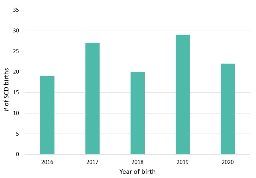 Figure 1. There was an average of 23 SCD births per year in Wisconsin during 2016–2020.