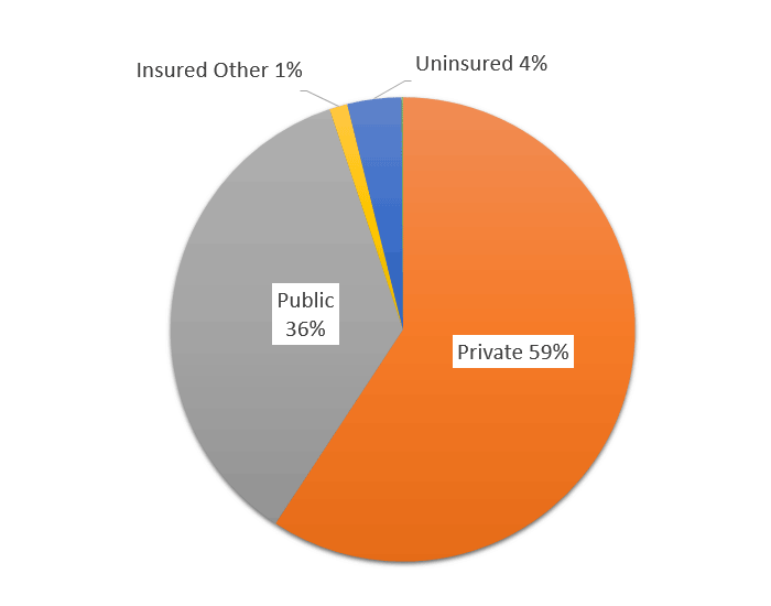 Pie chart showing Distribution of the Registry participants by insurance status, see details below