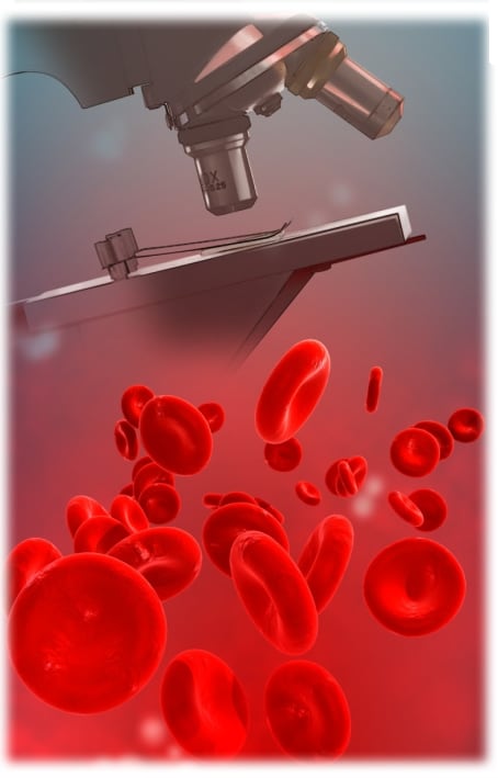 Microscope with blood cells