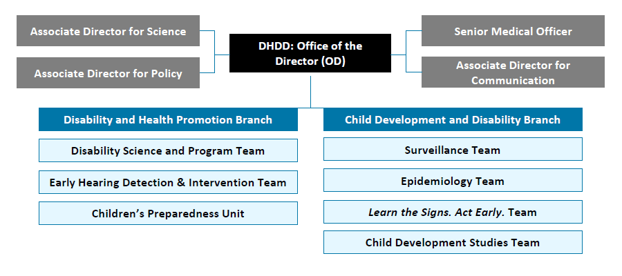 DHDD Organizational Chart, see details below