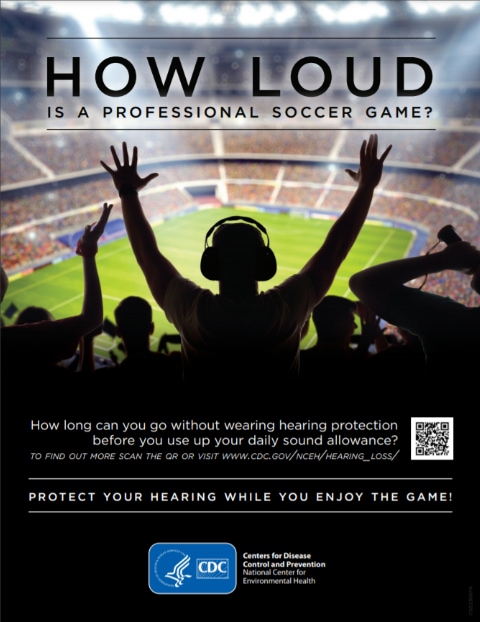 How loud is a professional soccer game image thumbnail